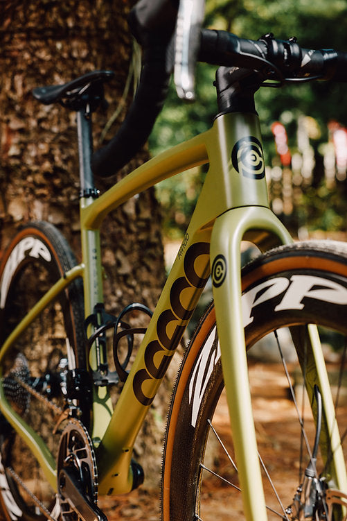 Raleigh Venture 2 Step Thru - Big Shark Bicycle Company - St